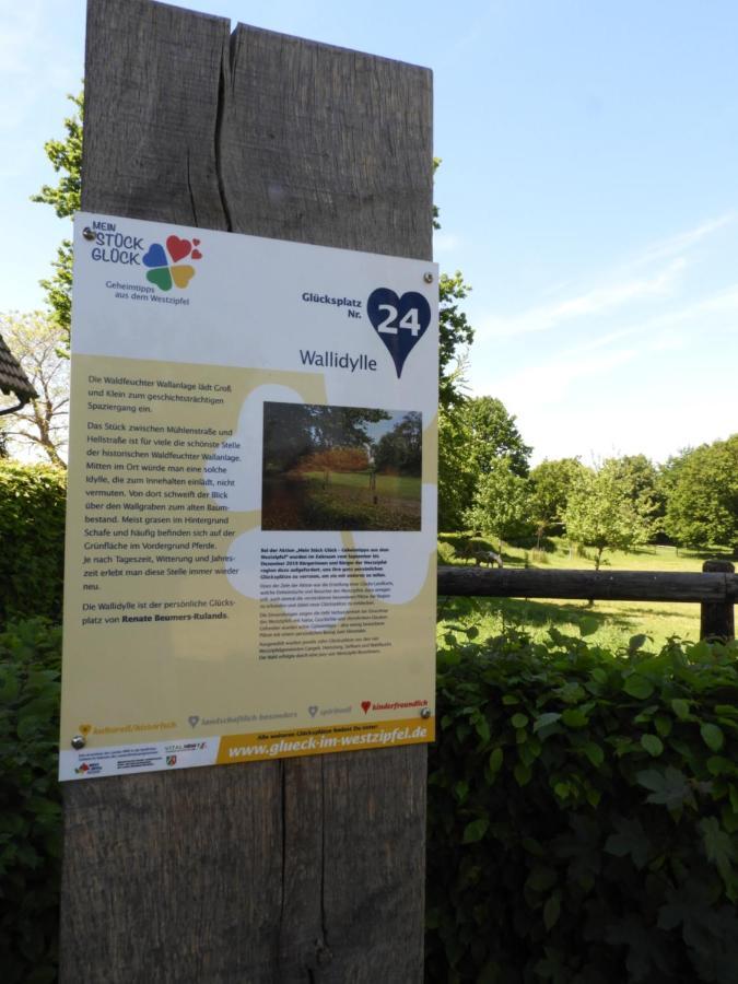 Ferienwohnung Hahnenblick Waldfeucht Exteriér fotografie